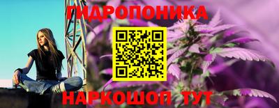 прущие крисы Коммунар