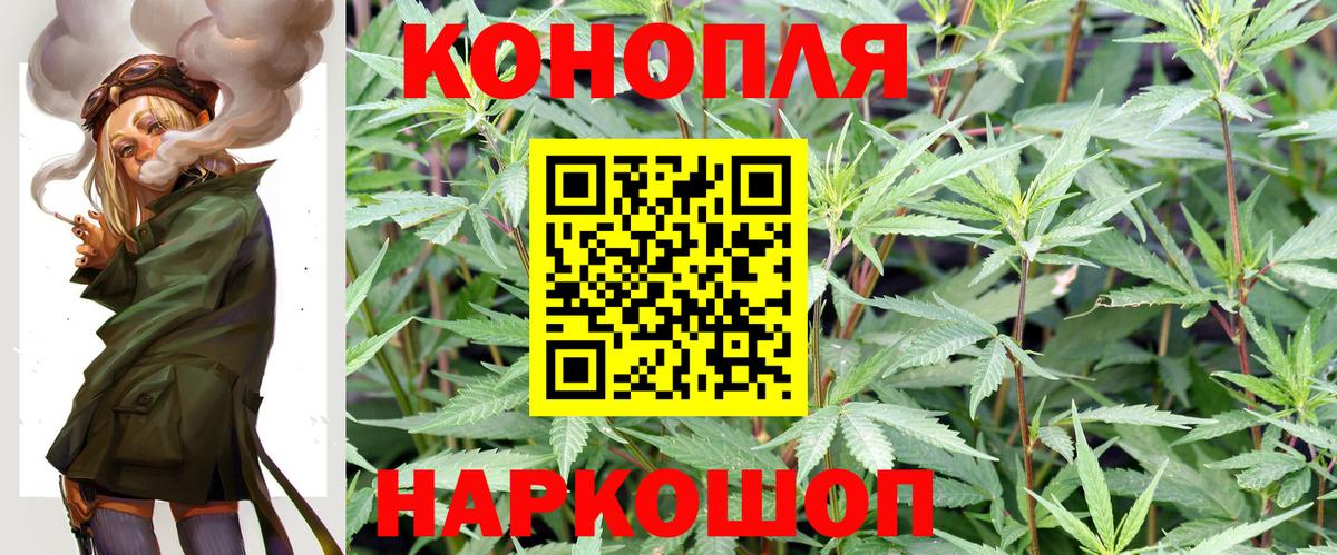 МАРИХУАНА сатива Ковров
